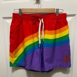 Men’s Chubbies Rainbow Stripe Pride Swim Shorts Medium Lined 5.5 “